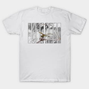 Hairy Dragonfly T-Shirt